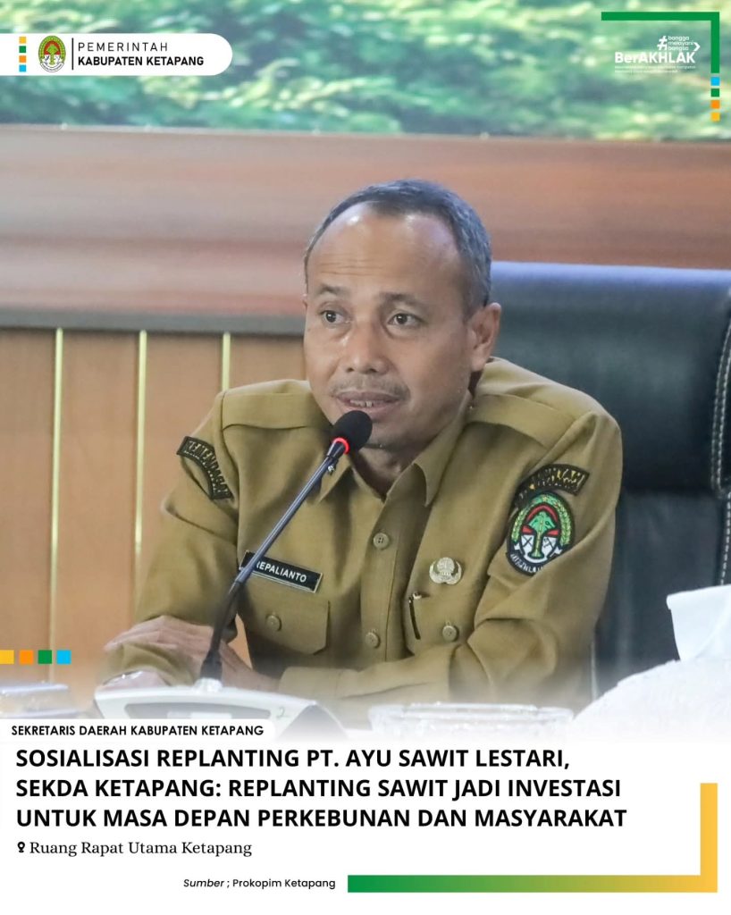 Sekda Ketapang: Replanting Sawit Jadi Investasi untuk Masa Depan Perkebunan dan Masyarakat